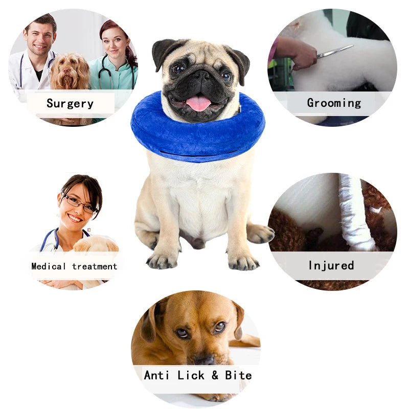 Inflatable Pet Recovery Collar – Elizabethan Collar