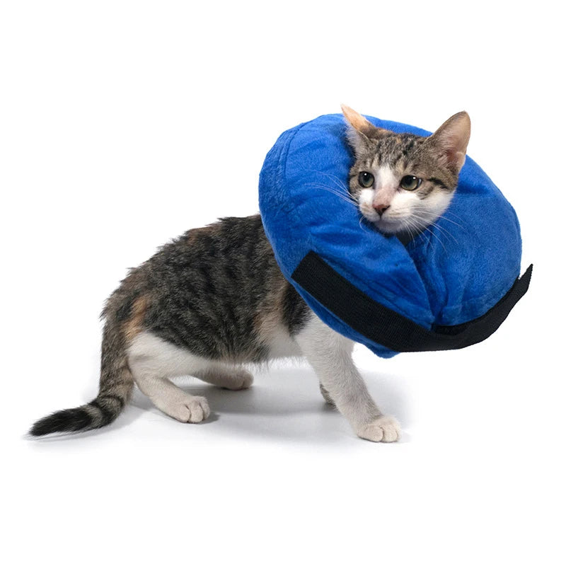 Inflatable Pet Recovery Collar – Elizabethan Collar