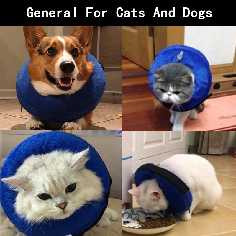 Inflatable Pet Recovery Collar – Elizabethan Collar
