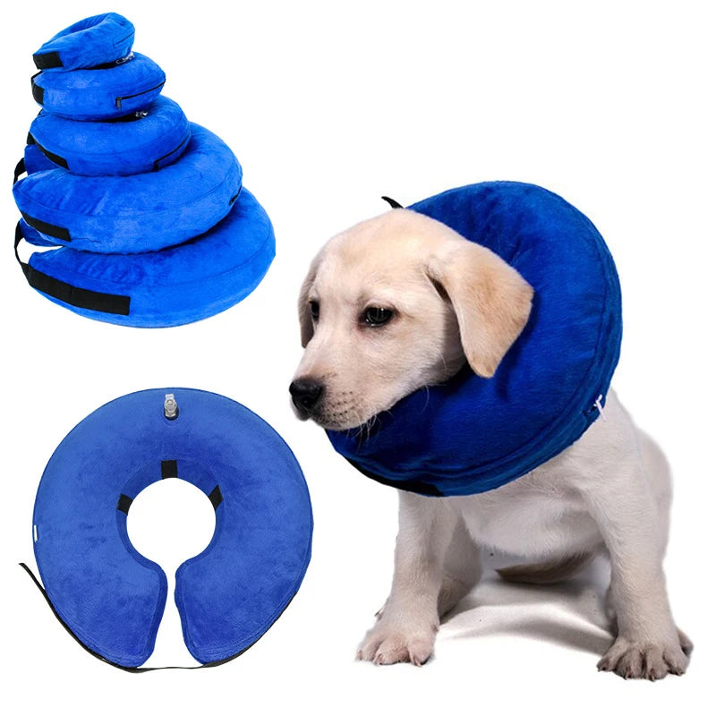 Inflatable Pet Recovery Collar – Elizabethan Collar