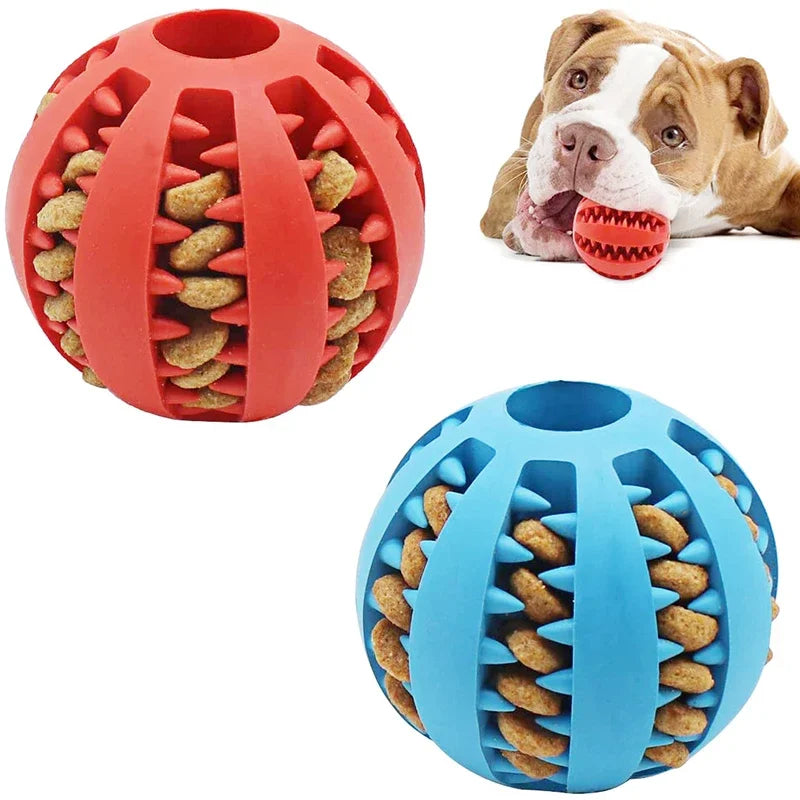 Bite & Play Ball – The Perfect Interactive Toy for Your Dog!