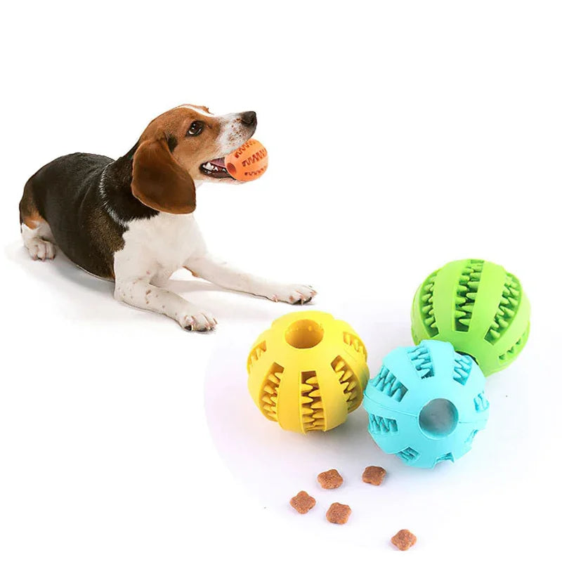Bite & Play Ball – The Perfect Interactive Toy for Your Dog!