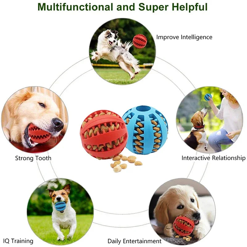 Bite & Play Ball – The Perfect Interactive Toy for Your Dog!
