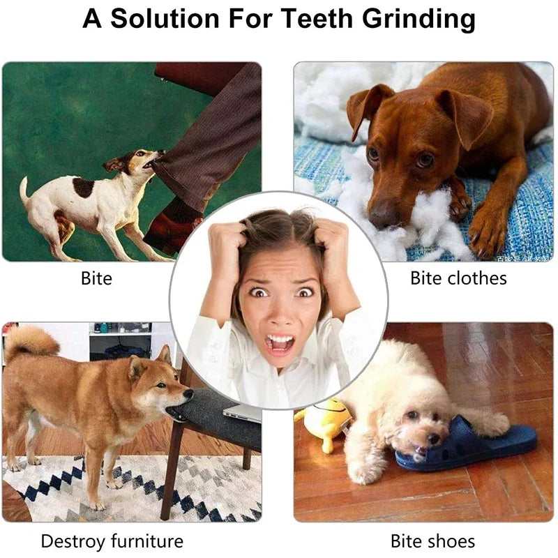 Bite & Play Ball – The Perfect Interactive Toy for Your Dog!