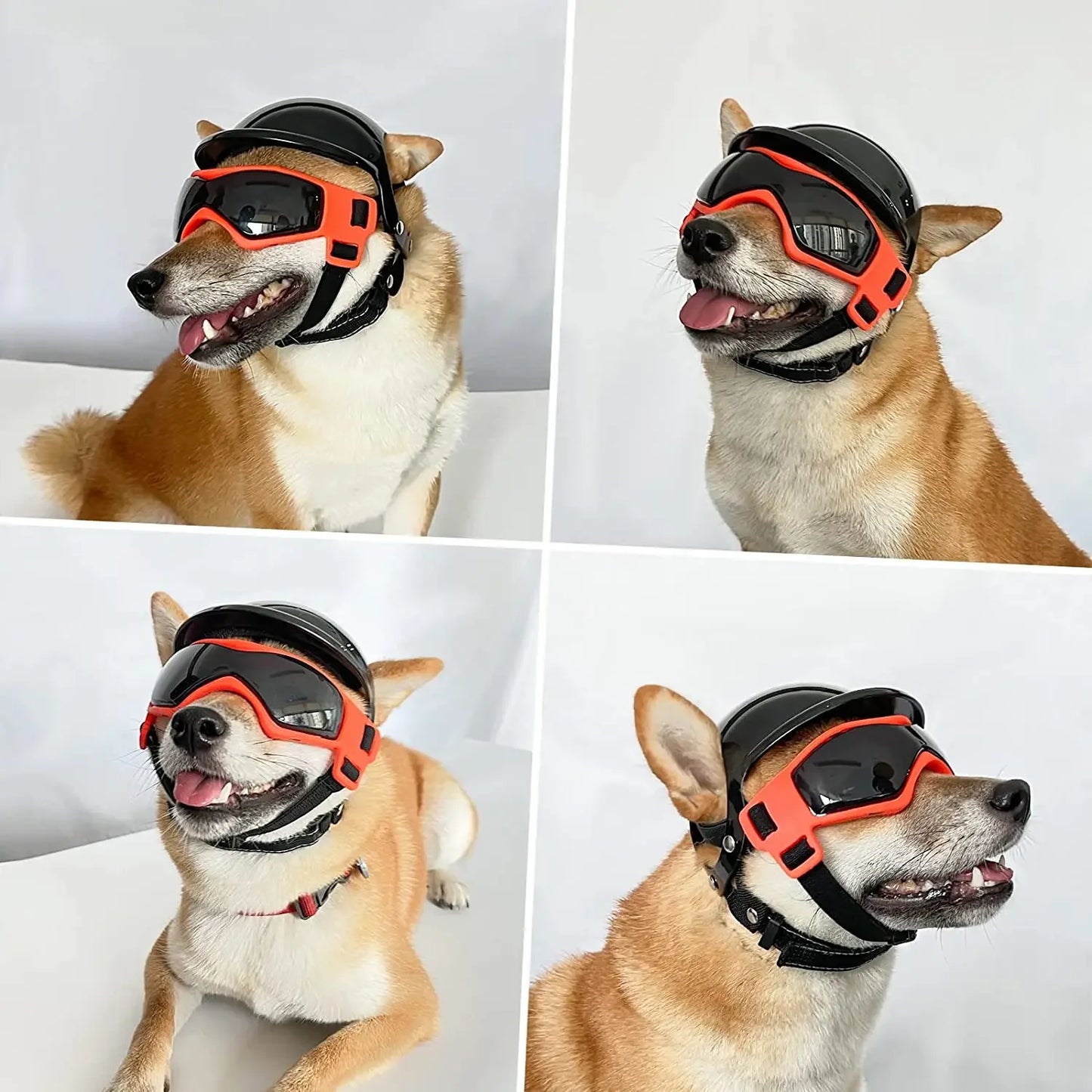 Paws & Ride: Adventure Helmet & Goggles Set for Dogs